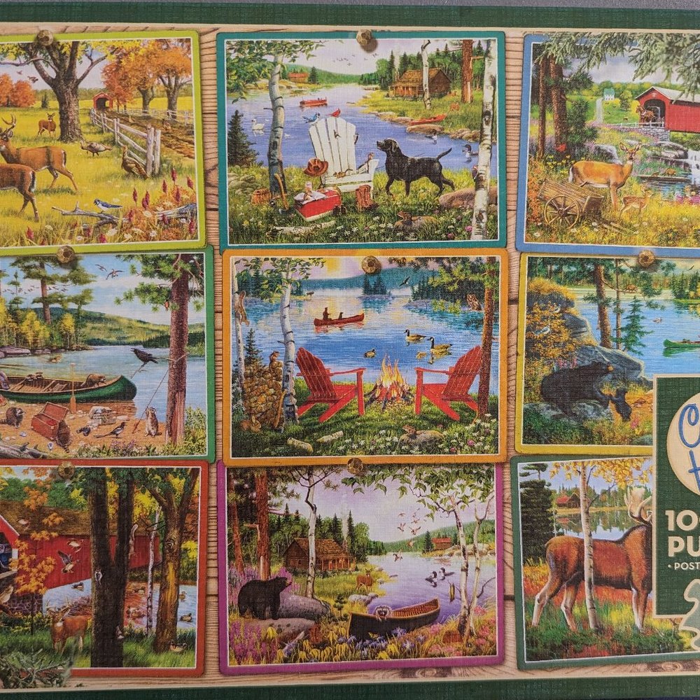 Excellent condition Cobble Hill 1000 piece puzzle
